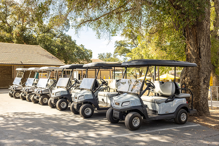 Golf Carts in a row at Vail Lake Resort Temecula CA