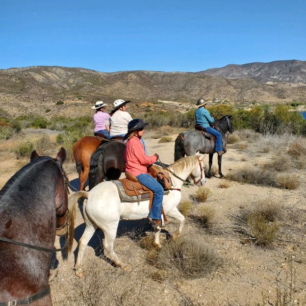 A group of horseback riders on the horse trails at Vail Lake Resort Temecula CA
